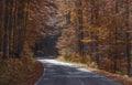 A winding road curves through autumn trees in Carpathian mountains Royalty Free Stock Photo