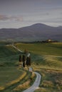 Winding road and cypress trees and farmhouse in the rolling hills and fields of Tuscany Italy Royalty Free Stock Photo