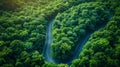 Winding Road through Dense Forest. Generative ai Royalty Free Stock Photo
