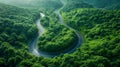 Winding Road through Dense Forest. Generative ai Royalty Free Stock Photo