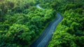Winding Road through Dense Forest. Generative ai Royalty Free Stock Photo