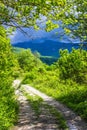 Winding road disappearing into the mountains of Abkhazia