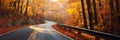 A winding road disappears into the distance, flanked by trees bursting with autumn colors.