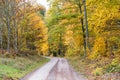 Winding road in fall colors Royalty Free Stock Photo