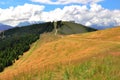 Winding road in french Alps Royalty Free Stock Photo