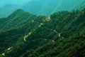 Winding road on green forested hill with many trees Royalty Free Stock Photo