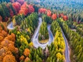 Winding road from high mountain pass, in autumn season, with orange forest