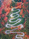 Winding road from high mountain pass, in autumn season, with orange forest