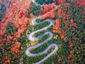 Winding road from high mountain pass, in autumn season, with orange forest