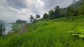 winding road on the hillside Royalty Free Stock Photo