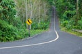 Winding road through jungle greenery. Drive into the country an