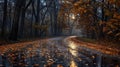 A winding road lined with trees with the moons reflection softly glimmering on the rainsoaked leaves. . Royalty Free Stock Photo