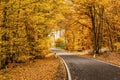 A winding road with loose fall leaves through autumn trees in germany rhineland palantino Royalty Free Stock Photo