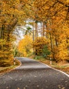 A winding road with loose fall leaves through autumn trees in germany rhineland palantino Royalty Free Stock Photo