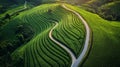 Winding Road Through Lush Green Rice Terraces Royalty Free Stock Photo