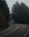 winding road in the middle of the forest Royalty Free Stock Photo