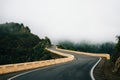 Winding road in mist in Tenerife Royalty Free Stock Photo