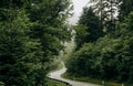 winding road mountains with vegetation no people Royalty Free Stock Photo