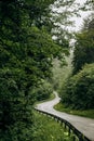 winding road mountains with vegetation no people Royalty Free Stock Photo