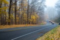 Winding road near forest park with tall mature trees and colorful yellow fall leaves, rear view blurry car motions at early foggy Royalty Free Stock Photo