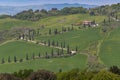 Winding road near La Foce with the famous Cypress trees in the heart of the Tuscany, Italy