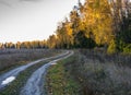 A winding road. Royalty Free Stock Photo