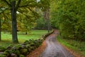 Winding road, autumn park scene Royalty Free Stock Photo