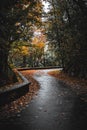 Winding road in a park in the fall colors in the Czech Republic Royalty Free Stock Photo