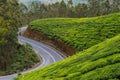 A winding road on the periphery of a tea garden
