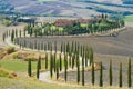 A winding road with poplars near an old Italian manor. Autumn in Tuscany