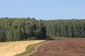 A winding road runs through a field. On the road, a lone figure of a cyclist with a Bicycle