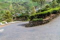 Winding road, tea plantations and a small village in mountains near Haputale, Sri Lan