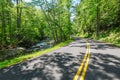 Winding road through the trees of Tremont GSMNP