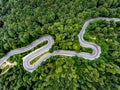 Winding road trough the forest