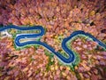 Winding road trough the forest in Transylvania, Romania Royalty Free Stock Photo