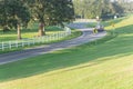 Winding road with white fence and live oak tree in Louisiana Royalty Free Stock Photo