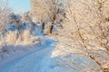 Winding road through a winter landscape with rime Royalty Free Stock Photo
