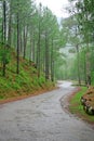 Winding roads thru himalayan forest reserve India Royalty Free Stock Photo