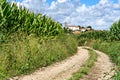 Winding rocky road in the middle of a cornfield heading for the beautiful village