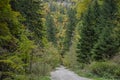 Winding rocky road in the mountains Royalty Free Stock Photo