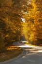 Winding rual road with car inside colorful autumn forest Royalty Free Stock Photo