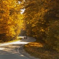Winding rural road with car inside colorful autumn forest Royalty Free Stock Photo