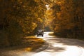 winding rual road with car inside colorful autumn forest