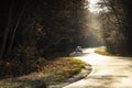 winding rual road with car inside colorful summer forest Royalty Free Stock Photo