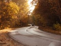 Winding rual road inside colorful autumn forest with black car