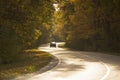 Winding rual road inside colorful autumn forest with black car