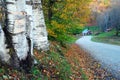 A winding rural road in autumn in Vermont