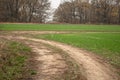 Winding rural road leading to the forest Royalty Free Stock Photo