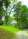 Winding Rural Road Surrounded by Greenery