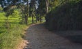 Winding rural road surrounded by natural green tea farms Royalty Free Stock Photo